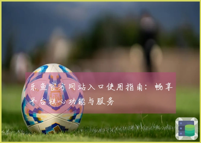 乐鱼官方网站入口使用指南：畅享平台核心功能与服务