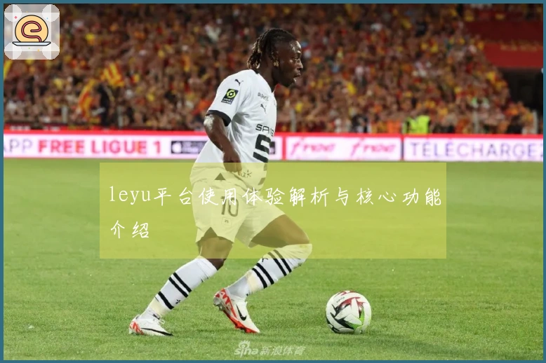 leyu平台使用体验解析与核心功能介绍