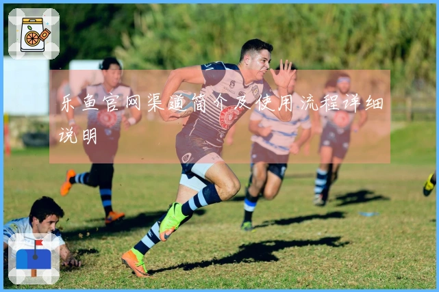 乐鱼官网渠道简介及使用流程详细说明