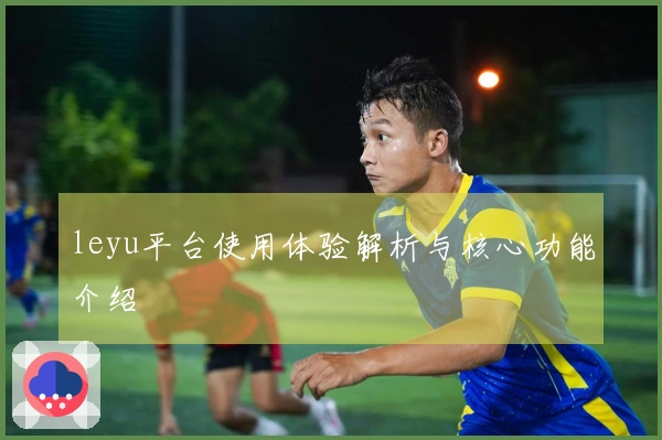leyu平台使用体验解析与核心功能介绍