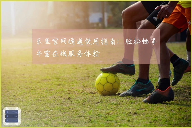乐鱼官网通道使用指南：轻松畅享丰富在线服务体验