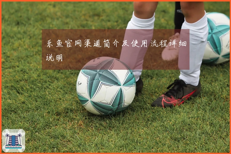 乐鱼官网渠道简介及使用流程详细说明
