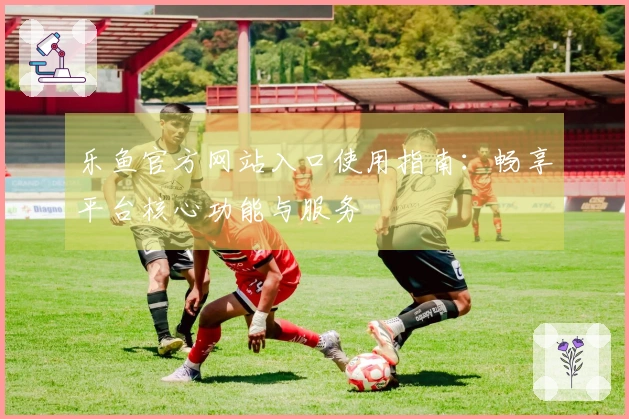 乐鱼官方网站入口使用指南：畅享平台核心功能与服务